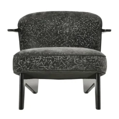 ANT-ANT Lounge Chair
