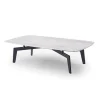 DEN-DEN Coffee Table